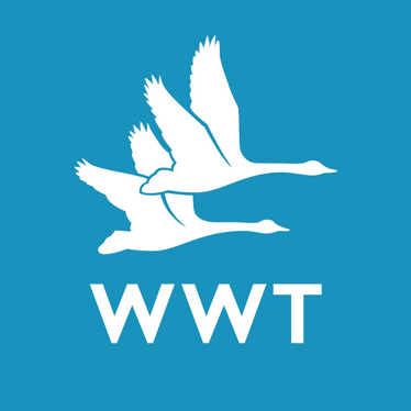 WWT - London Wetland Centre