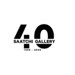 Saatchi Gallery