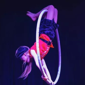 High Flyers (10-14 yrs) — Class at Roundwood Park School