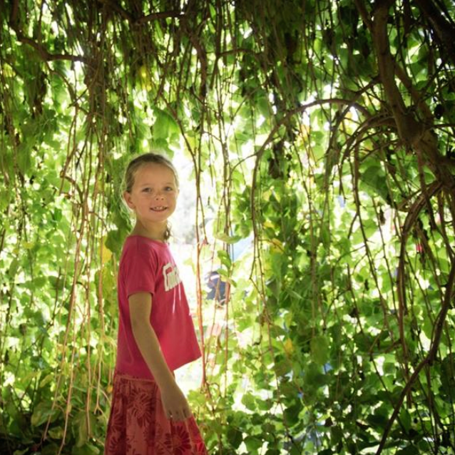 Family Quiet Hour: Plant Painting — Event at Chelsea Physic Garden