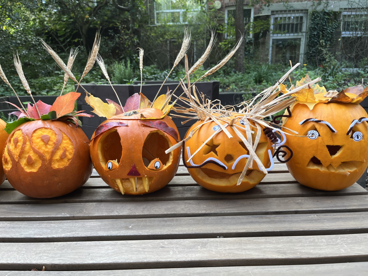Pumpkin Carving: Family Halloween — Event at Chelsea Physic Garden