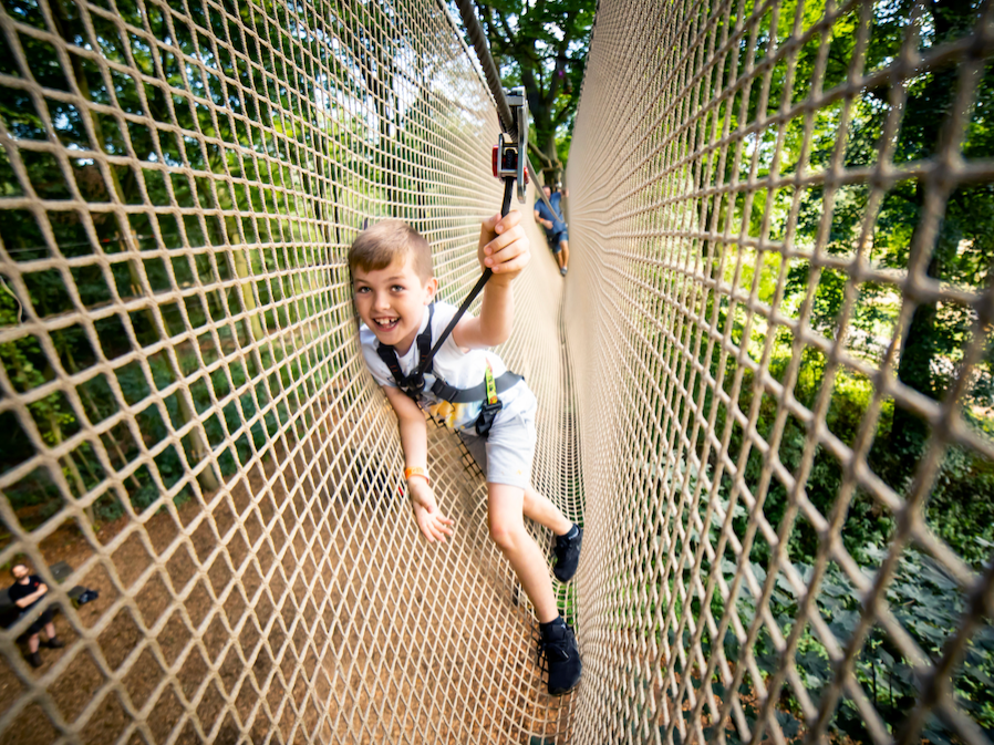 Treetop Adventure Plus, Alexandra Palace — Event at Go Ape Alexandra Palace