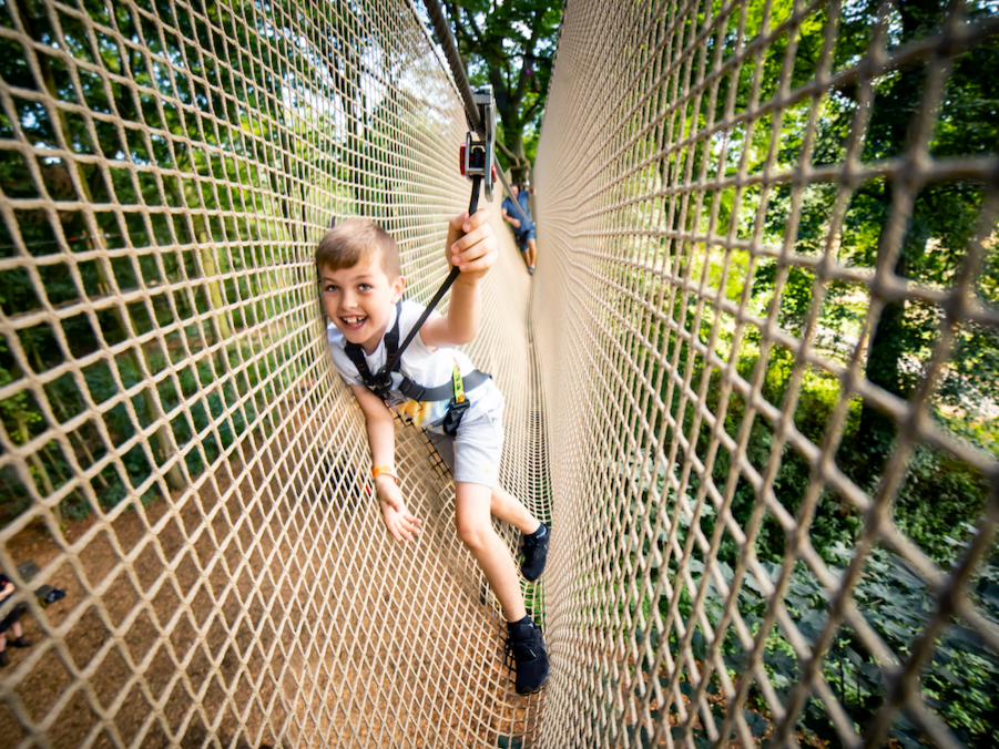 Treetop Adventure Plus, Battersea Park — Event at Go Ape Battersea Park
