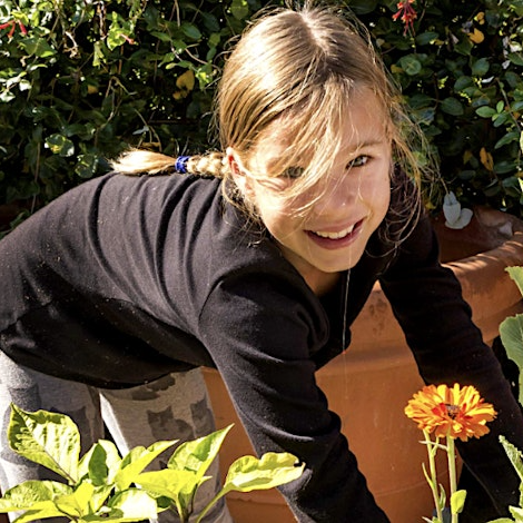 Gardening Camp — Holiday Camp at Fortismere School