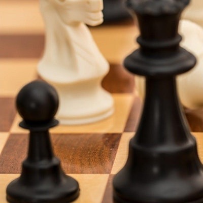 Fortismere Chess Camp — Event at Fortismere School