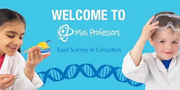 Mini Professors East Surrey