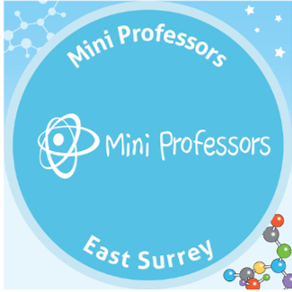 Mini Professors East Surrey