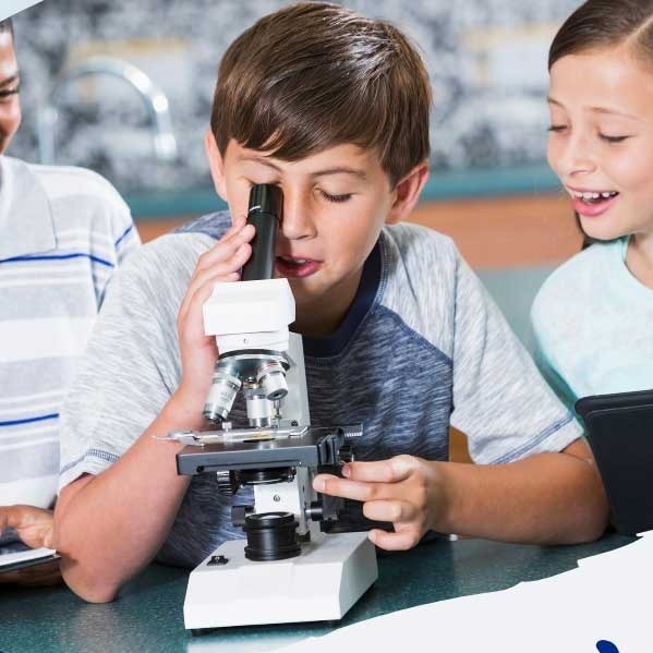 Discovering The World of Medicine Camp — Holiday Camp at Holiday Inn London