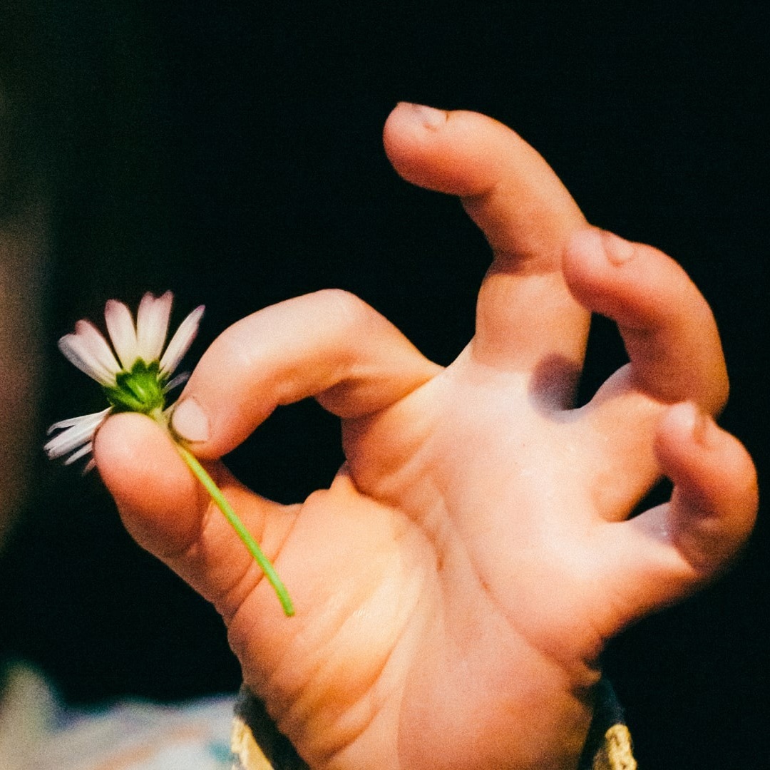 Gift — Performance at Half Moon Theatre 
