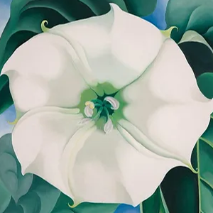 Georgia O'Keefe Art Workshop, 5-7yrs — Holiday Camp at Kensal Rise
