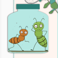 Bugs and Insects Natural History Exhibits — Workshop at Kensal Rise