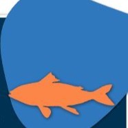 Underwater World (7-10yrs) — Event at Kensal Rise