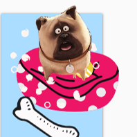 Disney Pixar Cats & Dogs — Workshop at Kensal Rise