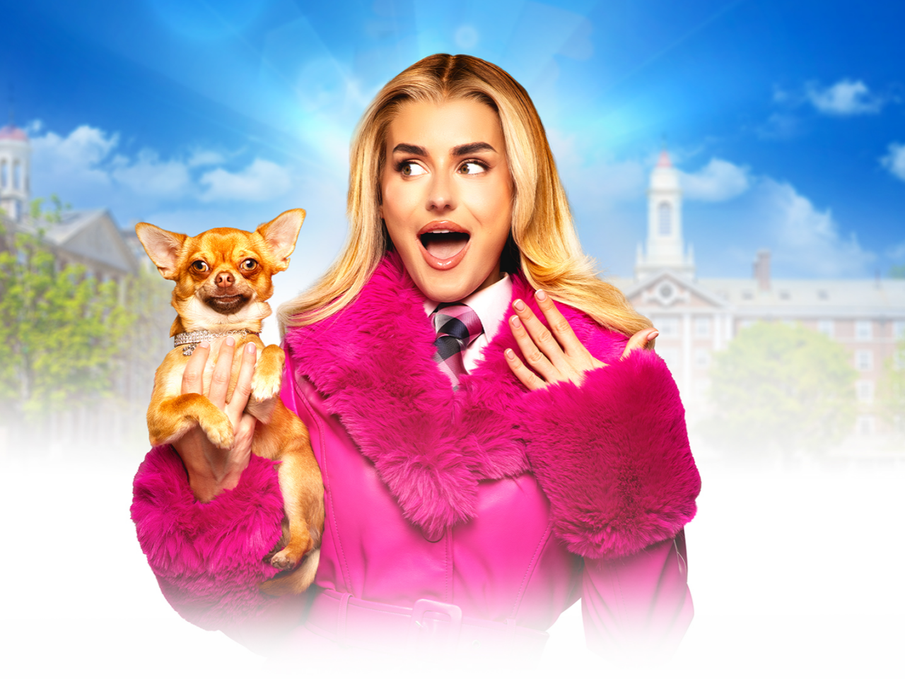 Legally Blonde — Performance at New Wimbledon Theatre