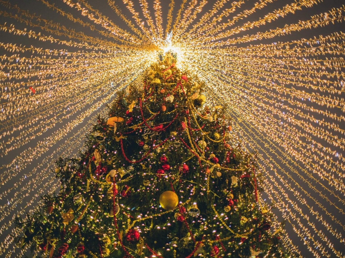 Chelsea Winter Illuminations — Event at Royal Hospital Chelsea