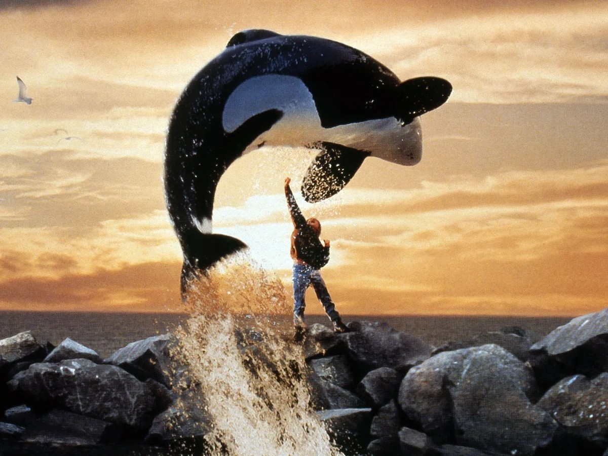 Family Films: Free Willy — Event at The Garden Cinema