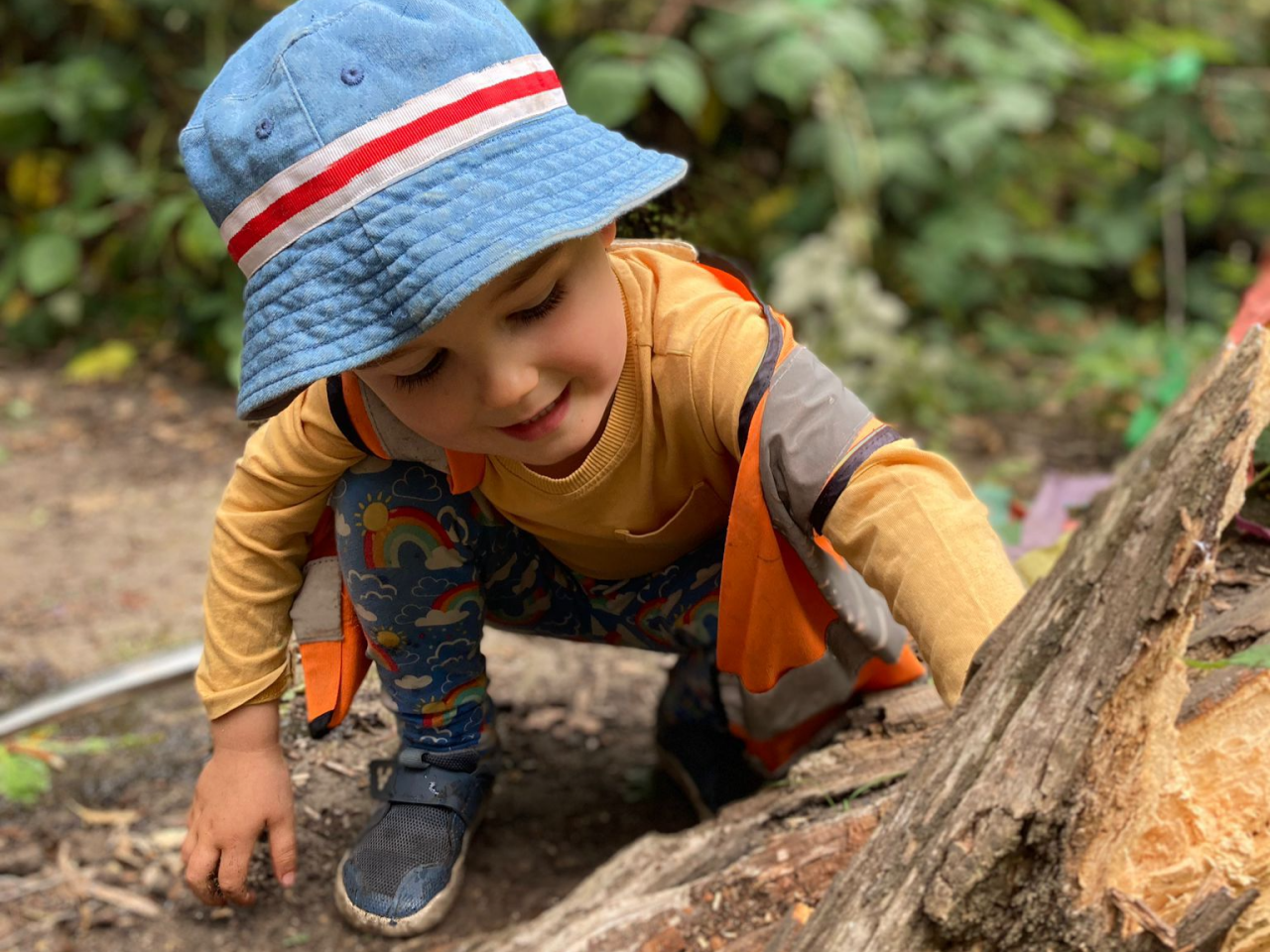 Forest School Holiday Camp, Twickenham — Holiday Camp at Little Forest Folk Twickenham