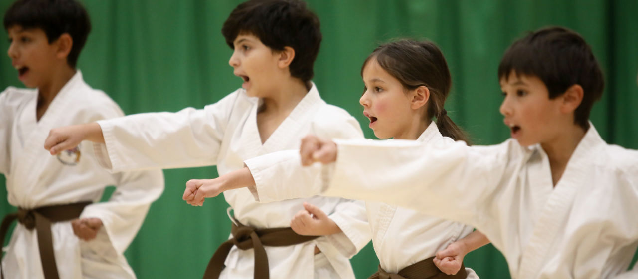 Martial Arts Federation International - Karate Classes cover photo