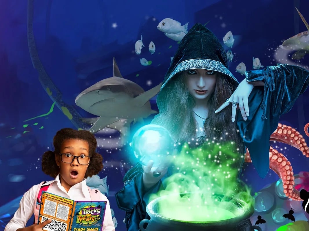 Tricks & Treats — Event at SEA LIFE London Aquarium