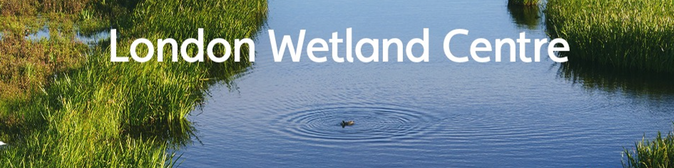 WWT - London Wetland Centre