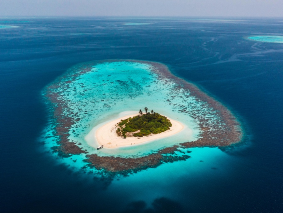 Deserted Island Diary — Holiday Camp at The Conservatoire
