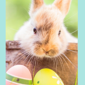 Ballet Egg Hunt Camp — Holiday Camp at St. James Hall