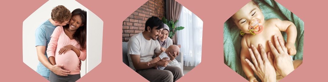 The New Parent Company  cover photo