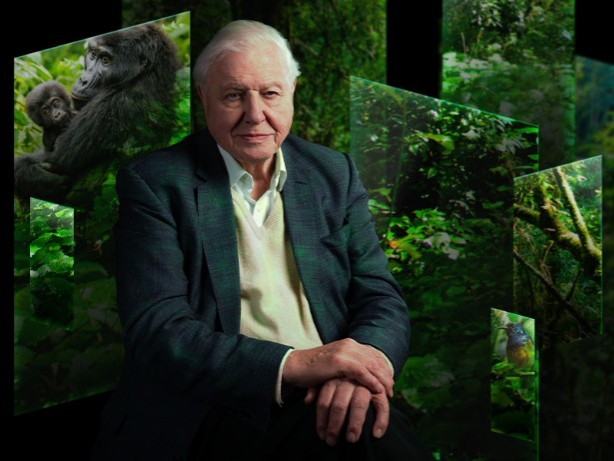 Our Story with David Attenborough — Exhibition at The Natural History Museum