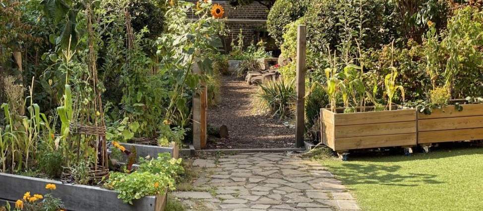 Growing Space