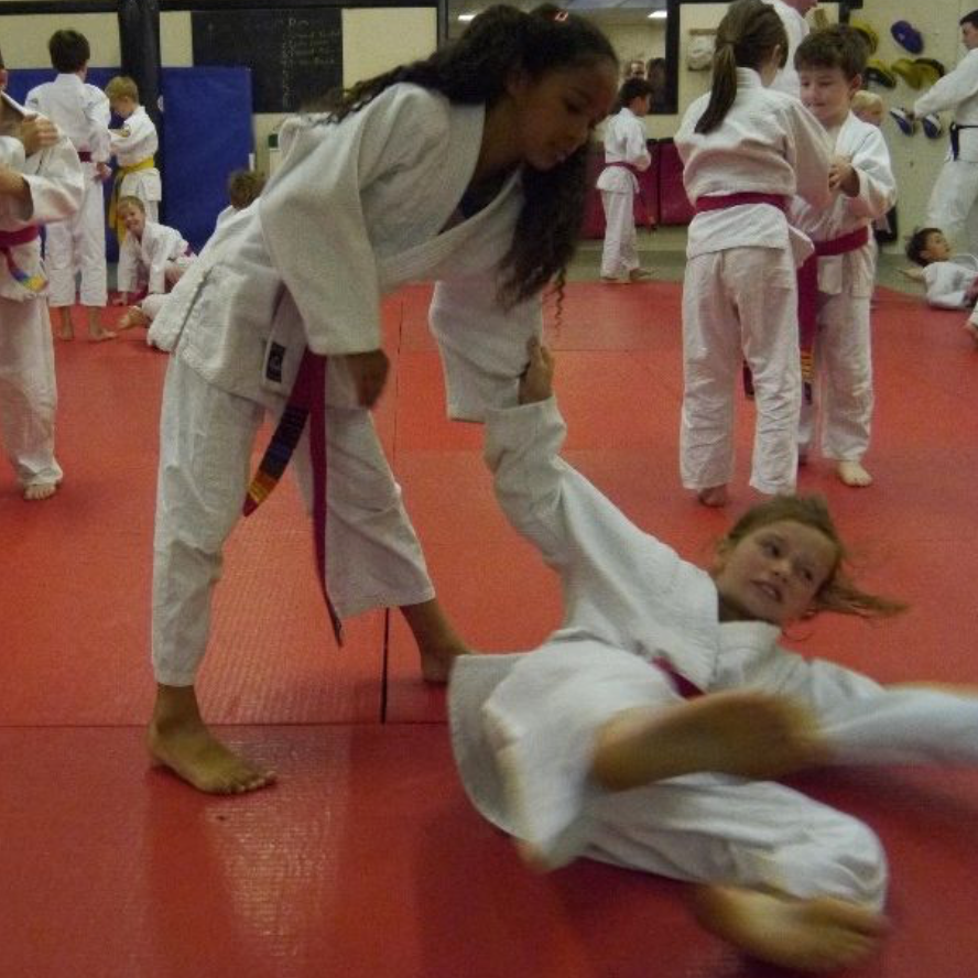 Judo - Beginners (Wandsworth) — Class at Wandle Recreation Centre 