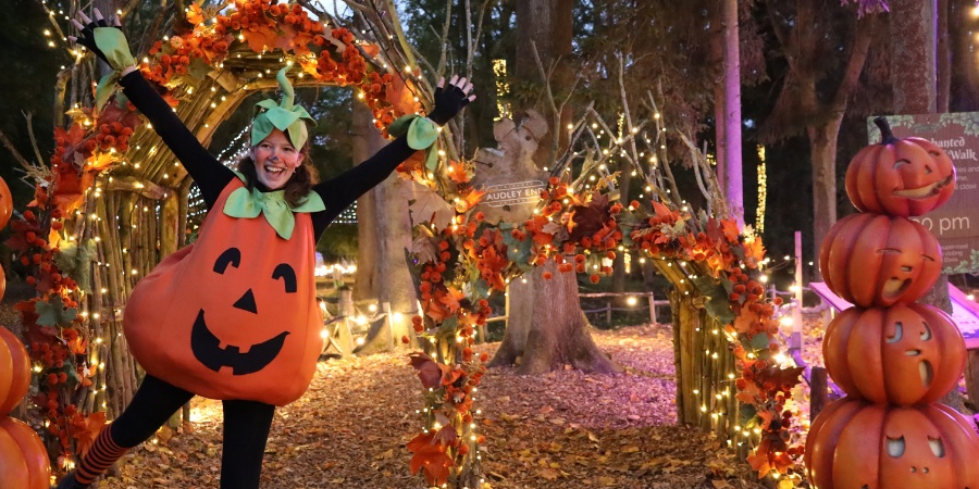 Audley End Enchanted Railway