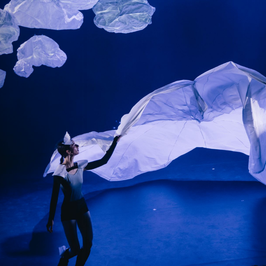 Skydiver, Polka — Performance at Polka Theatre
