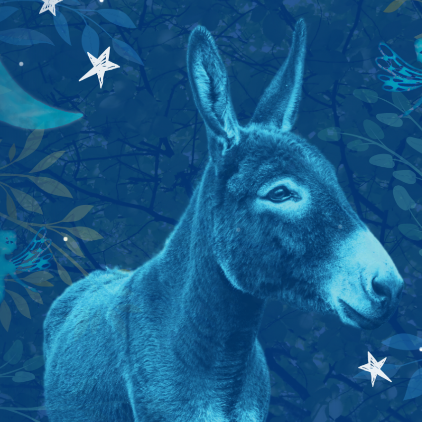 A Mid-Summer Night's Dream — Performance at Polka Theatre