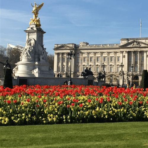 Visit the State Rooms at Buckingham Palace