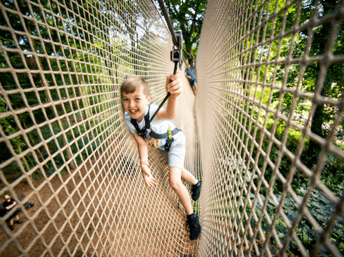 Treetop Adventure Plus, Alexandra Palace