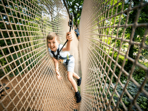 Treetop Adventure Plus, Battersea Park