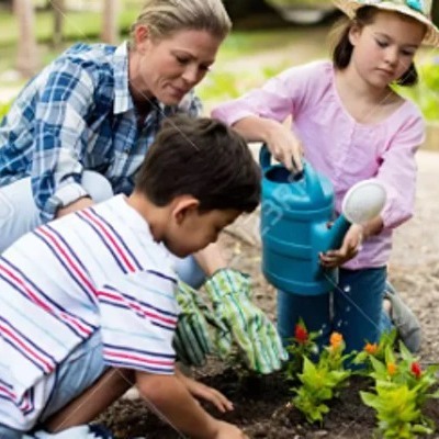 Fortismere Gardening Camp