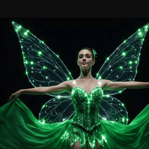 Ballet of Lights: Peter Pan Sparkling Show