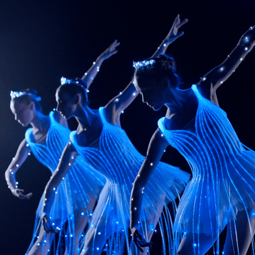 We Call It Ballet: Sleeping Beauty Light Show