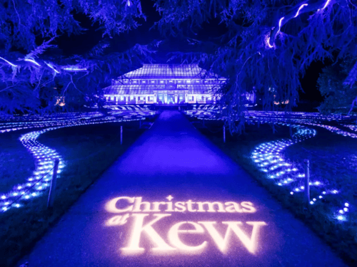 Christmas at Kew