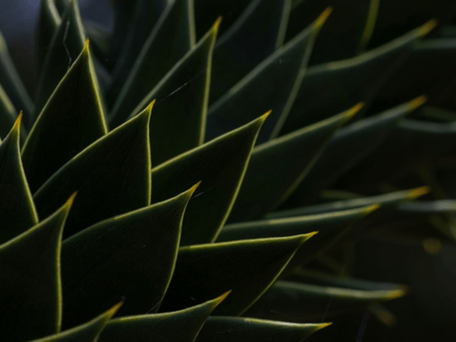 Sculpt Our Environment