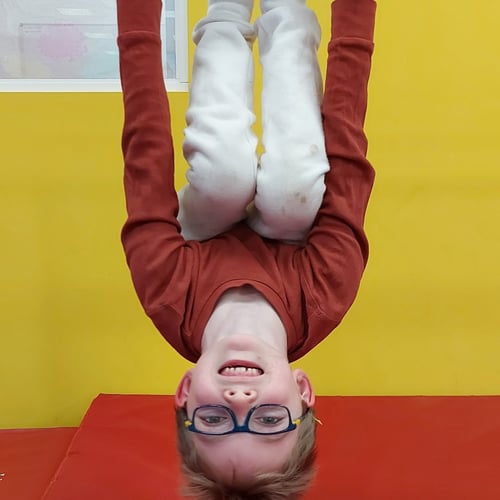 Flips, Handy Cross