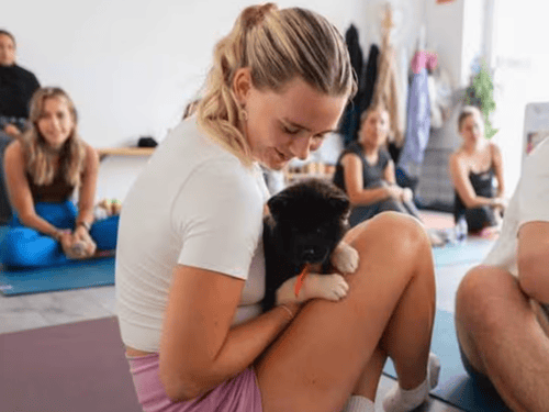 Puppy Cuddles, Yoga & Playtime