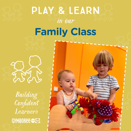 Play & Learn Family Class