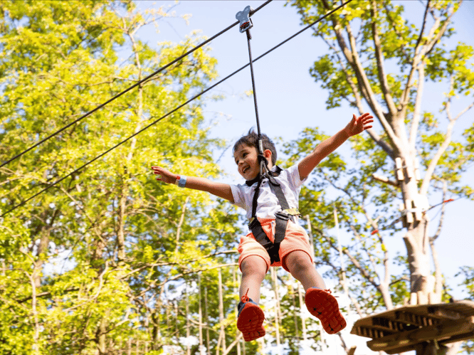 Treetop Challenge, Battersea Park