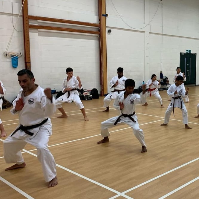Kenshukai Karate Class for Teens & Adults
