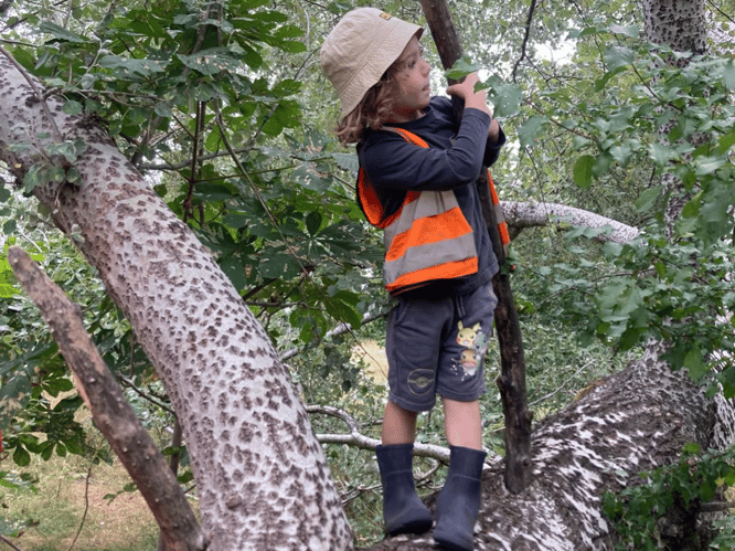 Forest School Holiday Camp, Morden