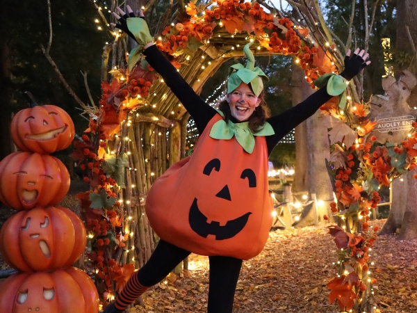 Halloween Special at Audley End Enchanted Railway