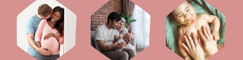 The New Parent Company 