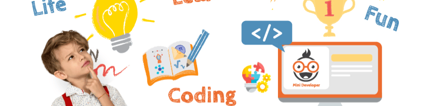 Mini Developer